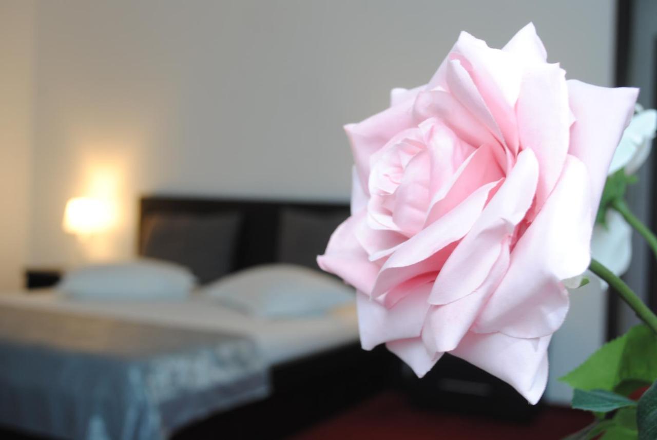 Hotel Corona Ντρομπέτα-Τούρνου Σεβερίν Εξωτερικό φωτογραφία