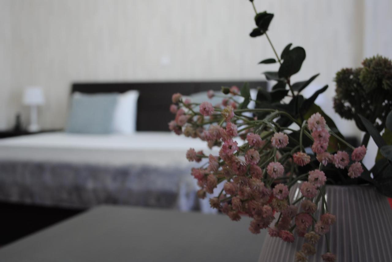 Hotel Corona Ντρομπέτα-Τούρνου Σεβερίν Εξωτερικό φωτογραφία