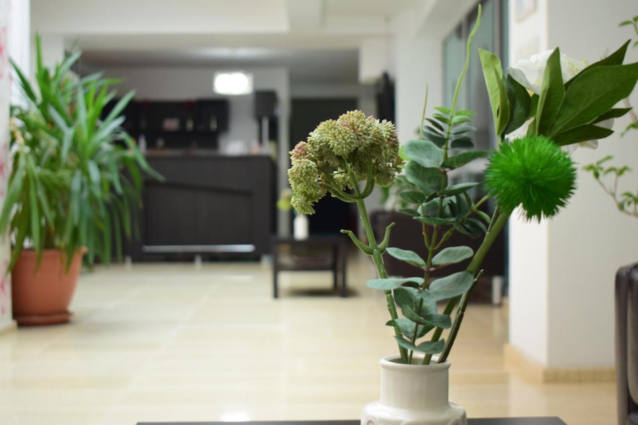 Hotel Corona Ντρομπέτα-Τούρνου Σεβερίν Εξωτερικό φωτογραφία